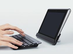 Не стали торопиться