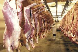Мясопереработка под контролем IBM