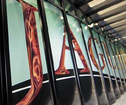 Кто на свете всех быстрее