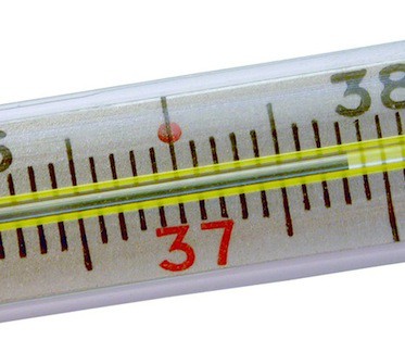 Кадровая лихорадка