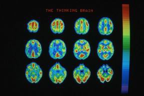 Десятка прогнозов