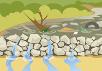 Формула успеха оптимизации каналов в глобальной сети