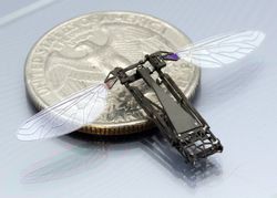 Гарвардские инженеры хотят наладить сборку роботов по принципу книжки-«раскладушки»