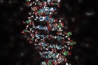 Ученые из Гарварда записали 70 миллиардов книг на ДНК