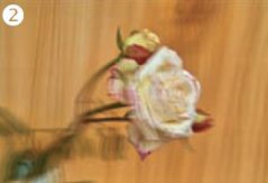 Стерео/варио для начинающих