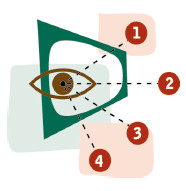 Shortest Path Bridging