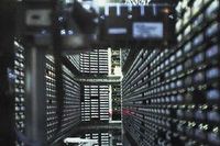 Вечно живая