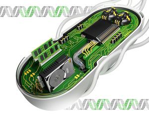 Живые микросхемы из МТИ передают результаты вычислений из поколения в поколение