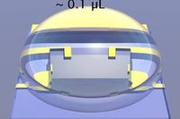 Жидкие транзисторы