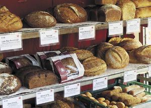 Зарождение царства машин