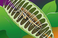 Межсетевые экраны: расширение функционала