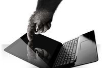 Новое покрытие Gorilla Glass защитит хрупкие экраны ноутбуков