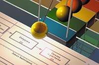 BPM вчера и завтра