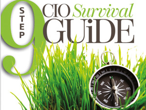 Руководство по выживанию для ИТ-директора