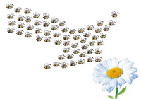 Интеллект роя для ИТ