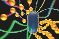 Живые материалы