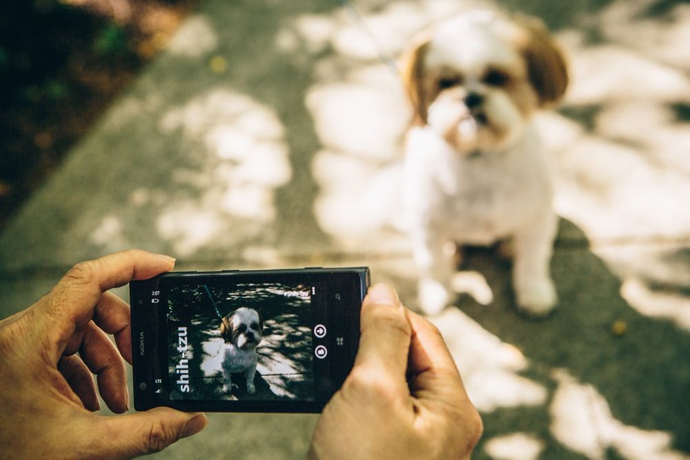 Microsoft обучает электронный мозг по имени Adam