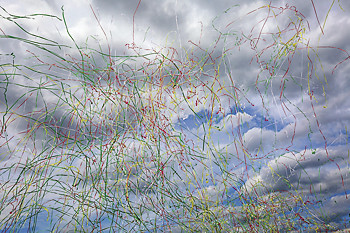 В Интернет по паспорту