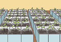 Ажиотаж вокруг контейнеров