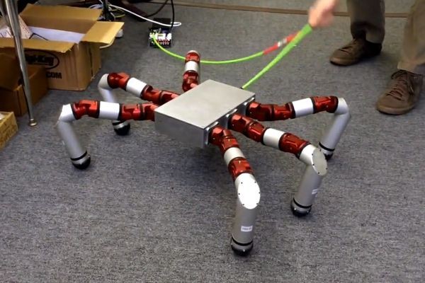 Робота-паука легко собрать и трудно сбить с ног