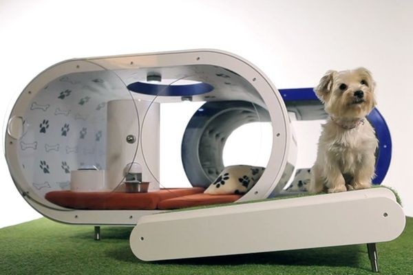 В собачьей будке от Samsung есть автоматическая кормушка, горячая ванна и телевизор