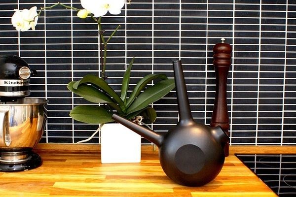 Умная лейка не позволит забыть о поливке комнатных растений