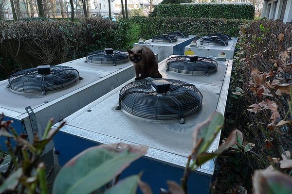 Что такое хорошо для коммерческого ЦОД