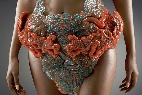 Действующую модель кишечника, изготовленную методом 3D-печати, можно носить на себе