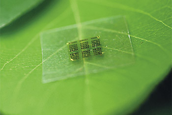 Деревянные микросхемы