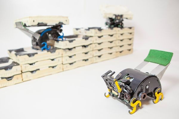 Роботы-«термиты» смогут строить мосты и жилища на Марсе, не имея конкретного проекта