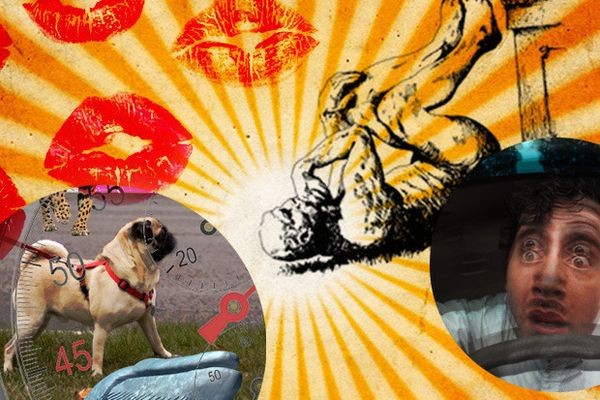 Лауреаты «Шнобелевской премии» — 2015