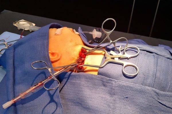 Союз Голливуда и здравоохранения