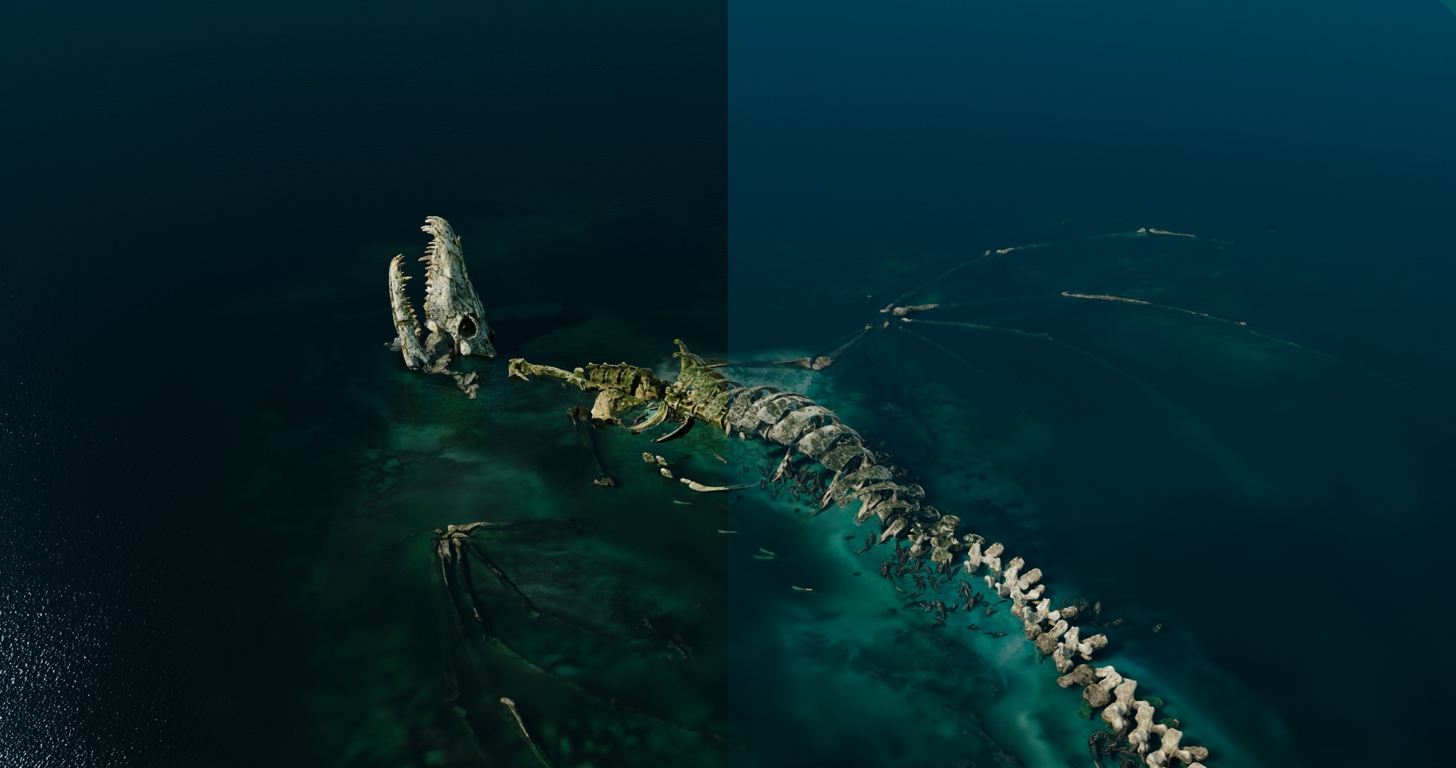 В «Т-Платформах» посчитали «Он – дракон»