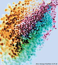 Слабое звено