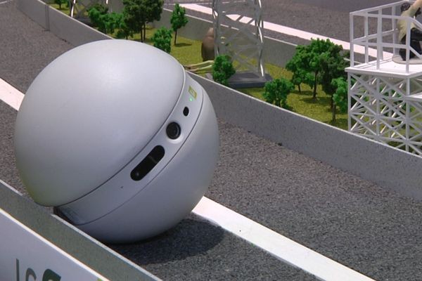 MWC: миниробот LG охраняет квартиру и развлекает домашних кошек