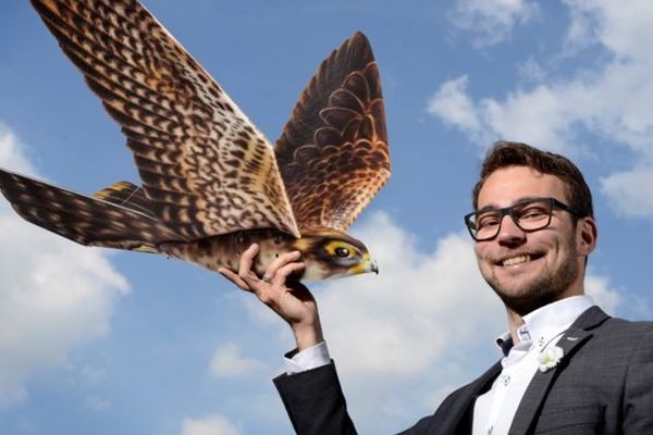Железный сокол будет отпугивать птиц в аэропортах