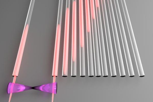 Сконструирована экспериментальная шина для передачи квантовых битов