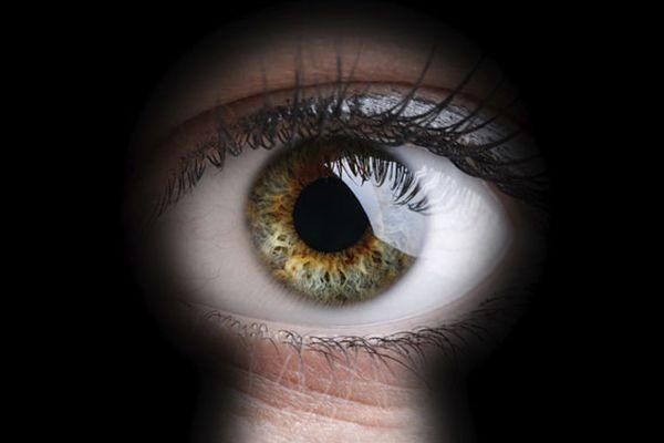 Россиянина, создавшего SpyEye, посадили в американскую тюрьму на 9,5 года