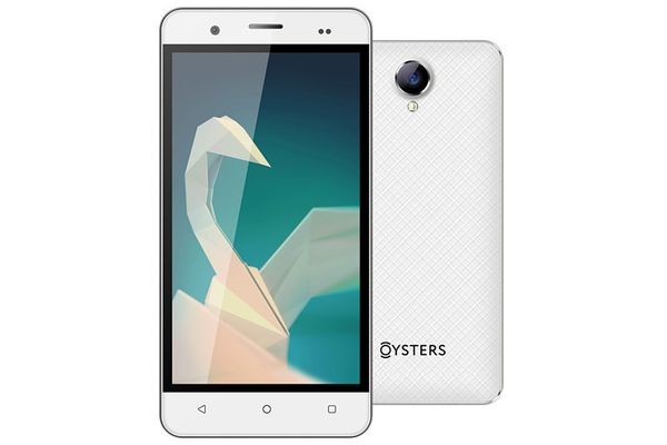 До конца года в России выпустят три смартфона на отечественной ОС