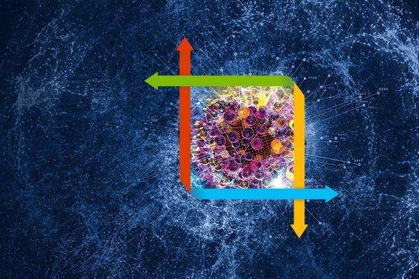 В Microsoft диагностируют рак с помощью Bing