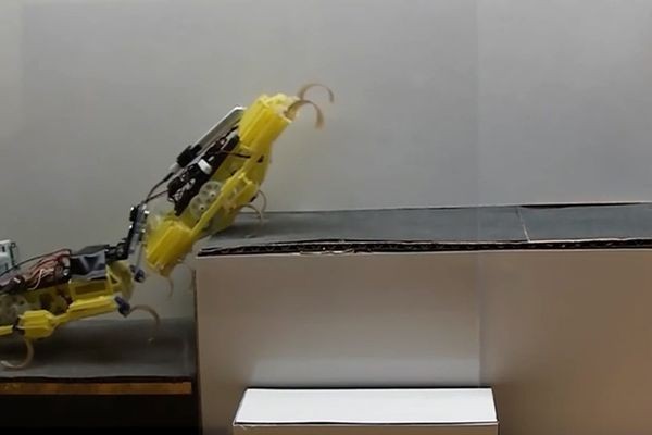 Одноразовые роботы смогут быстро бегать, летать и спасать жизни