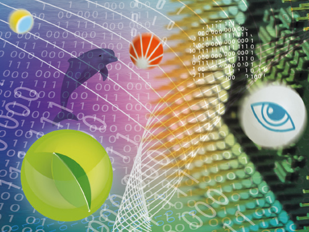 Ренессанс СУБД: проблема выбора