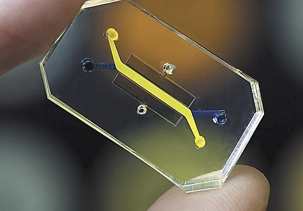 В Гарварде вырастили «сердце на кристалле»