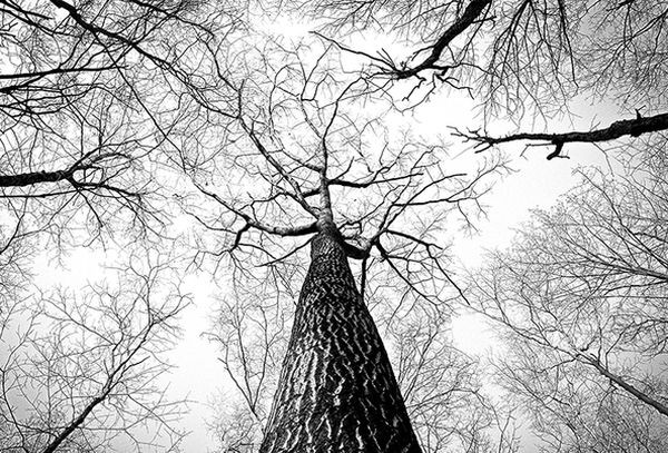 Как обеспечить безопасность филиалов