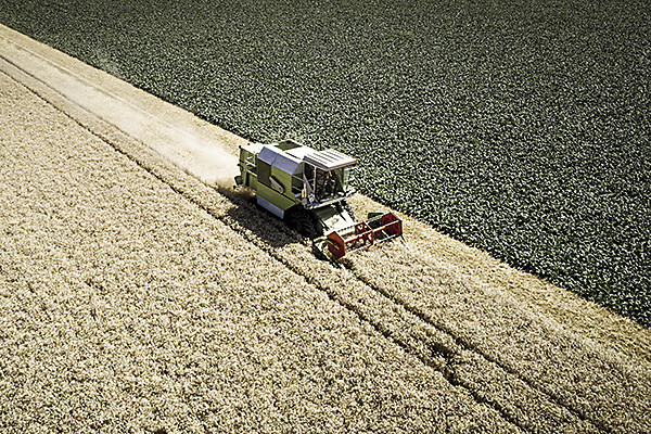 Что посеем, или цифровизация в полях