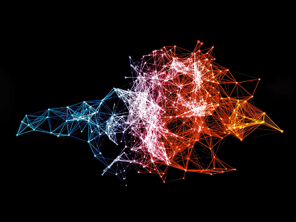 SDN в разных ипостасях