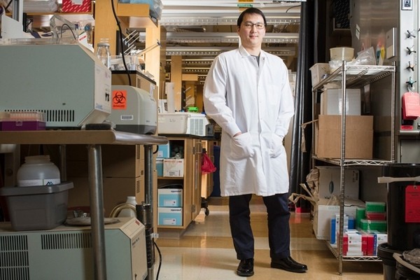 Ученые хотят победить рак путем перепрограммирования биологических систем