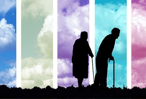 ПФР: пенсии рассчитает искусственный интеллект