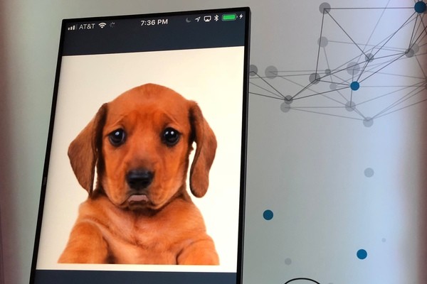Intuit: эмоциональные виртуальные помощники помогут в финансовых вопросах