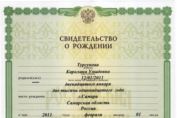 В Минкомсвязи считают свидетельство о рождении лишним документом